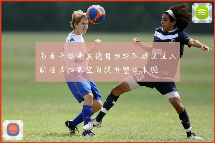 乌度卡称谢泼德将为球队进攻注入新活力拓宽空间提升整体表现