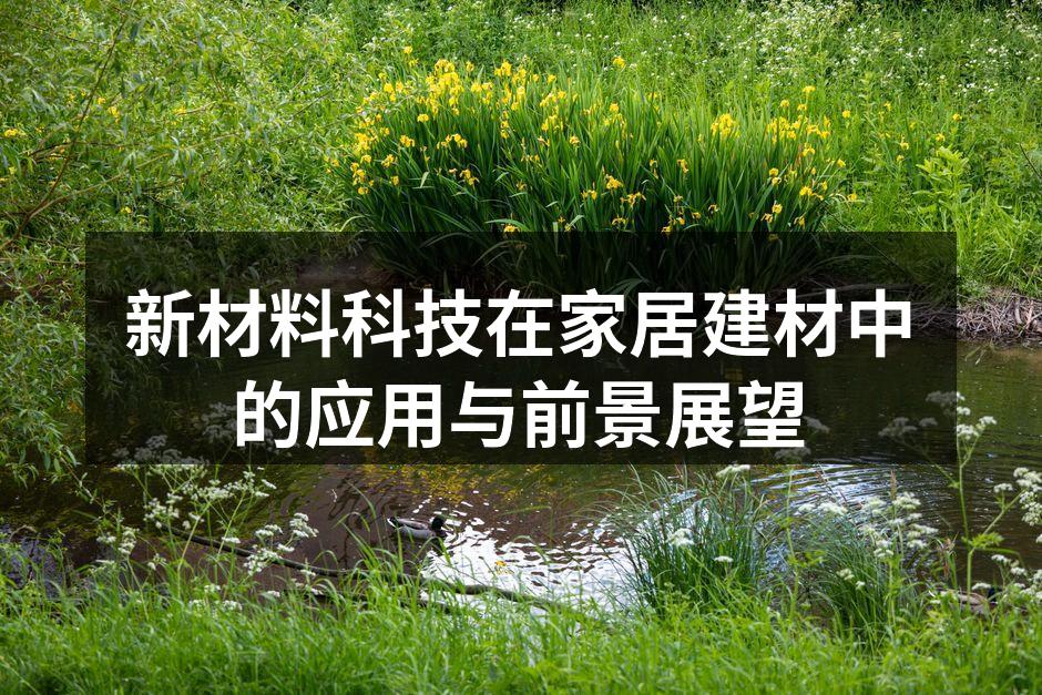 新材料科技在家居建材中的应用与前景展望
